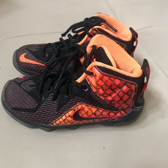 lebron snakeskin shoes
